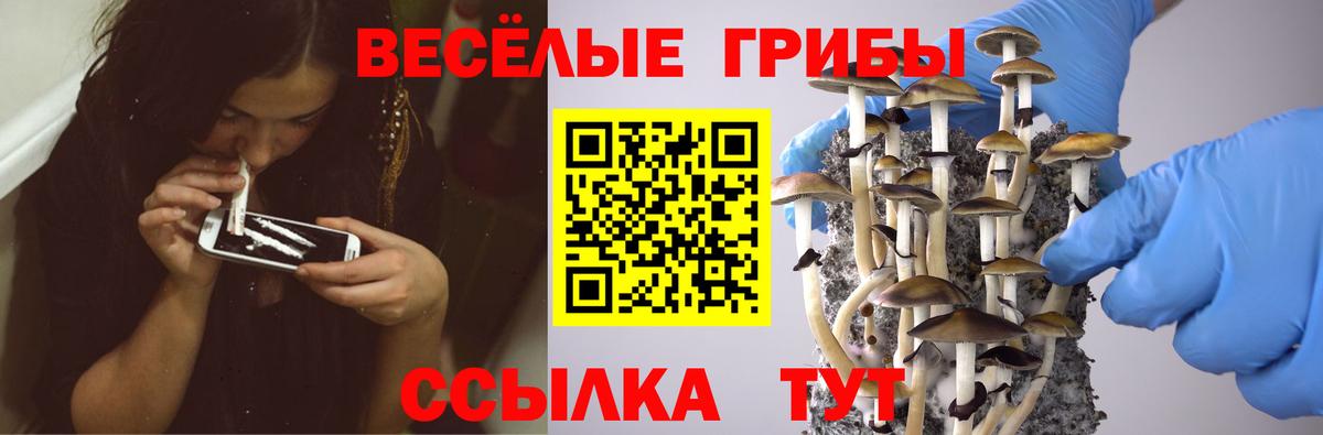 Псилоцибиновые грибы GOLDEN TEACHER Верхний Уфалей